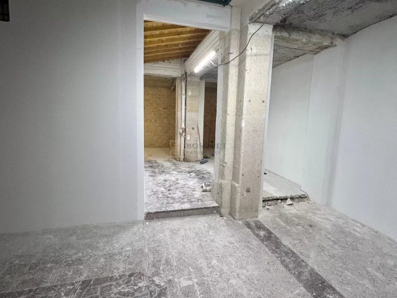 PARIS 11e – BOULEVARD RICHARD LENOIR 315m2